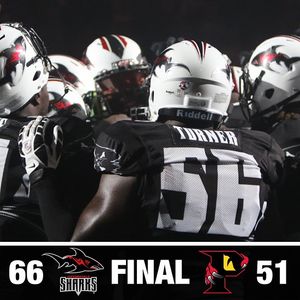 Image post by @jaxsharks on Instagram