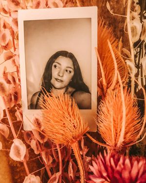 Image post by @wollyhasson on Instagram