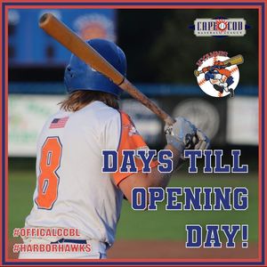 Image post by @harborhawks on Instagram