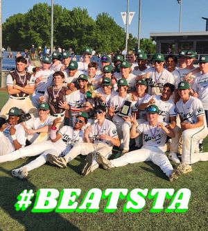 Image post by @tigershypesquad on Instagram