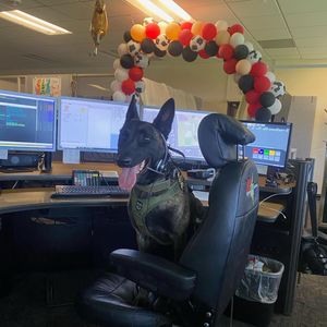 Image post by @vcsheriff on Instagram