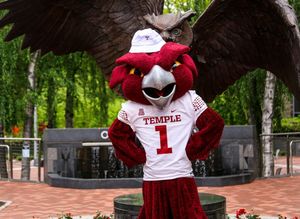 Image post by @templealumni on Instagram