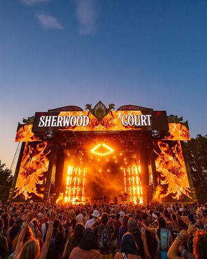 Image post by @electric_forest on Instagram