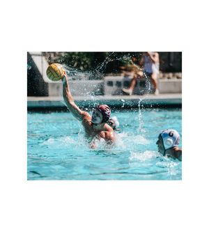 Image post by @atibbsphotos on Twitter