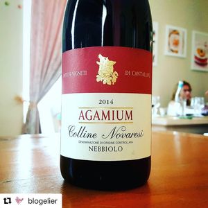 Image post by @alessandra_chiappa on Instagram