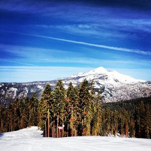 Image post by @sierra_at_tahoe on Instagram