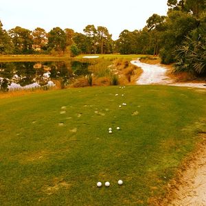 Image post by @lukedonald on Instagram