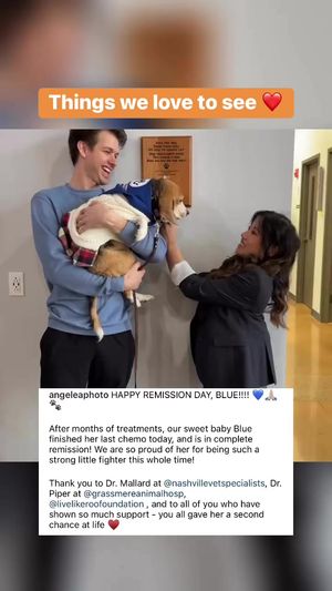Video post by @LiveLikeRoo on Facebook