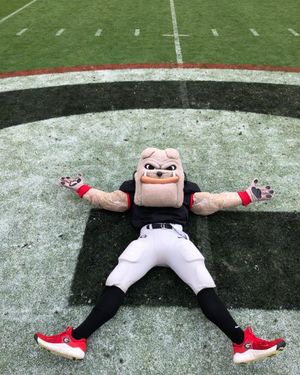 Image post by @ugahairydawg on Instagram