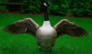 Image post by @jackportunephotography on Instagram