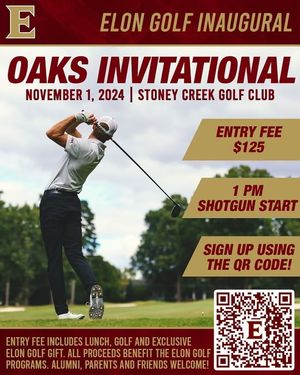 Image post by @elonmgolf on Instagram