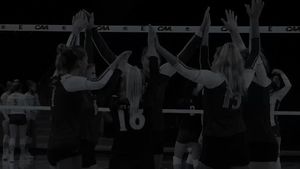 Video post by @elonvb on Twitter