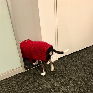 Image post by @drawingcenter on Instagram