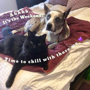 Image post by @zeetabody on Instagram
