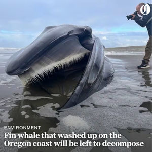 Image post by @theoregonian on Instagram
