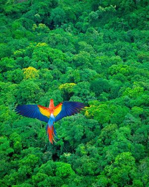 Image post by @discovery on Instagram