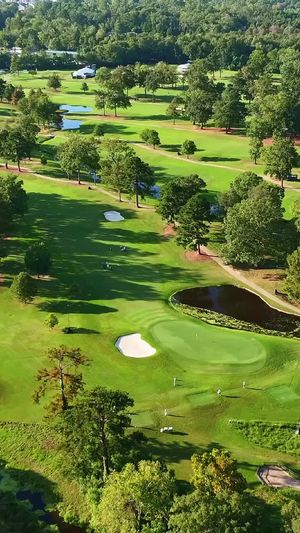 Video post by @sandersonfarmschamp on TikTok