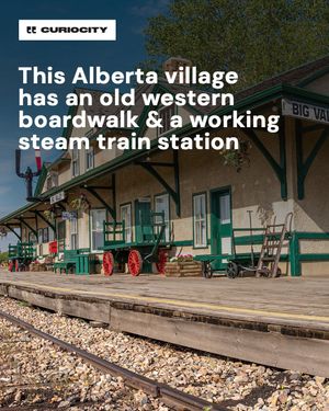 Image post by @curiocitycalgary on Instagram