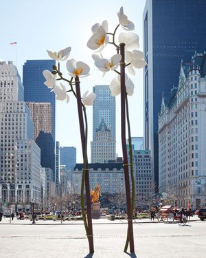 Image post by @publicartfund on Instagram