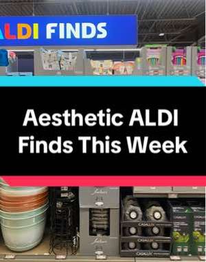 Image post by @aldiusa on TikTok