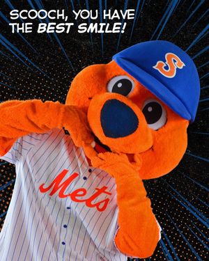Image post by @syracusemets on Instagram