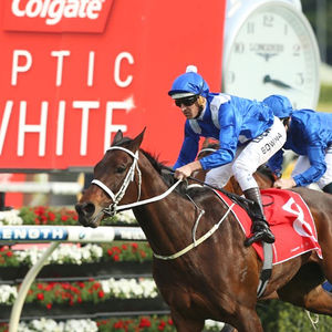 Image post by @australianturfclub on Instagram