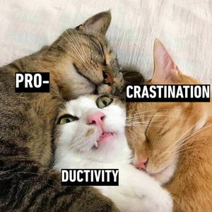Image post by @9gag on Instagram