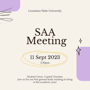 Image post by @lsu_saa on Instagram