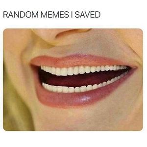 Image post by @the.virtual.bitch on Instagram