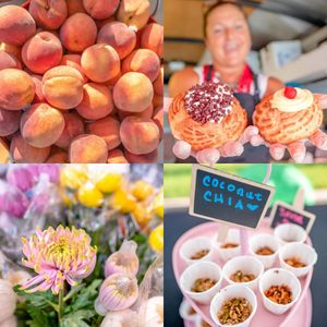 Image post by @cityofveniceflorida on Instagram