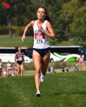 Image post by @dyestat on Instagram