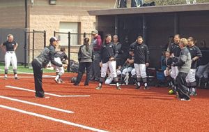 Image post by @siu_softball on Instagram