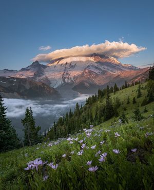 Image post by @nationalparkscollective on Instagram