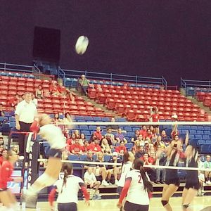 Image post by @zonazooofficial on Instagram