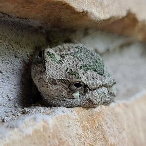Image post by @nationalparkservice on Instagram