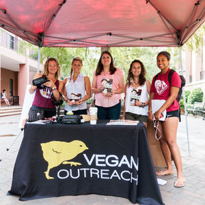 Image post by @collegeofcharleston on Instagram