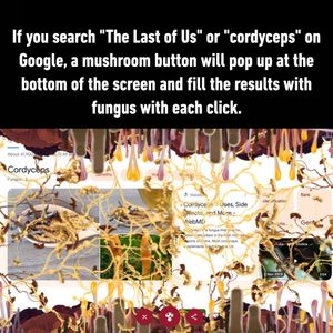 Image post by @9gag on Instagram