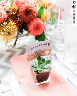 Image post by @bbjlinen on Instagram