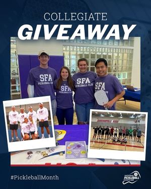 Image post by @usapickleball on Instagram