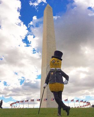 Image post by @mrpeanutofficial on Instagram