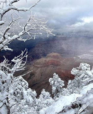 Image post by @nauflagstaff on Instagram
