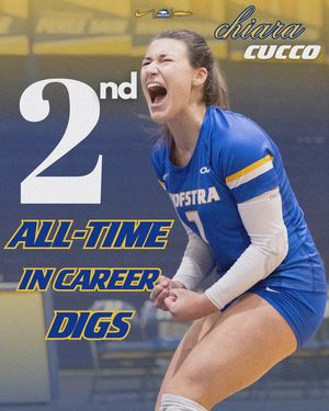 Image post by @hofstravb on Instagram