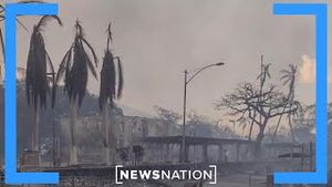 Video post by @newsnation on YouTube
