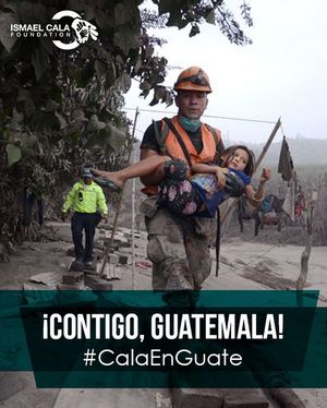 Image post by @calafoundation on Instagram