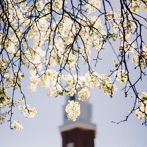 Image post by @olivetnazarene on Instagram