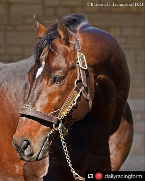 Image post by @spendthriftfarm on Instagram