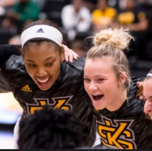 Image post by @ksuowlswbb on Instagram