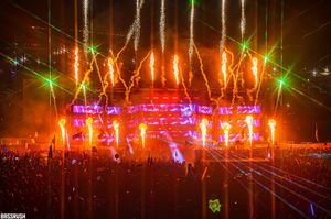 Image post by @bassrush on Instagram