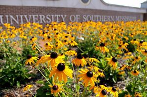 Image post by @officialsouthernmiss on Instagram