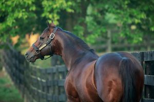 Image post by @spendthriftfarm on Instagram